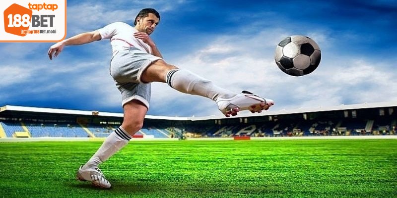 Cá Cược Bóng Chuyền - Cập Nhật Các Kèo Cược Hấp Dẫn 8 Không chỉ nhìn vào kết quả gần nhất anh em cần phân tích đội bóng cụ thể
