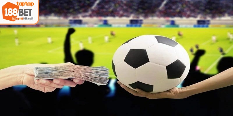 Cá Cược Bóng Chuyền - Cập Nhật Các Kèo Cược Hấp Dẫn 7 Tỷ lệ kèo châu âu 188BET được xem là dạng kèo quen thuộc với người chơi cá cược